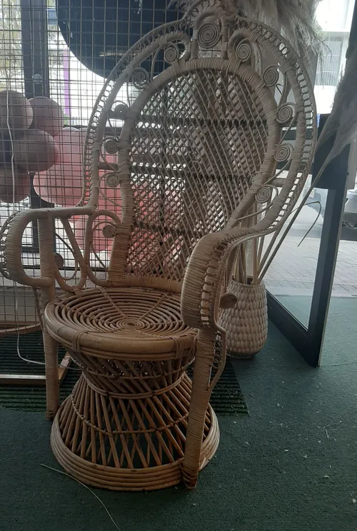 Peacock Chair