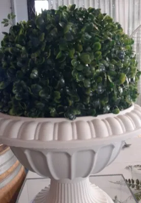 Boxwood Ball 28cm