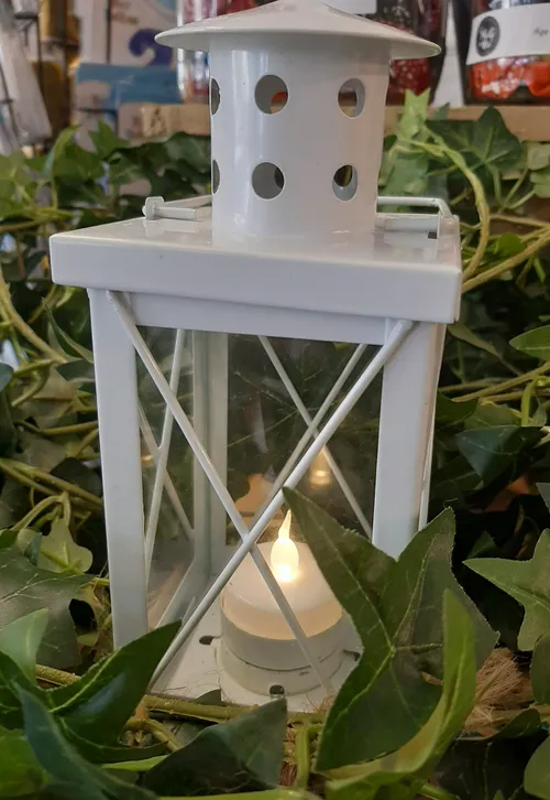 White Lanterns 20cm x9cm