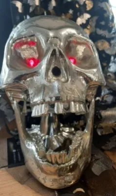 Skull Moving Mouth and Sound