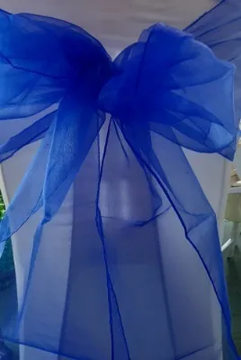 Blue (Cobolt) Organza Sash