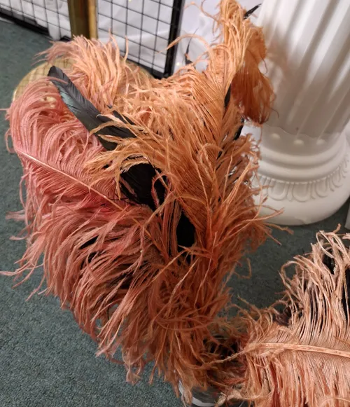 Ostrich Feather - Orange Mixed bunch