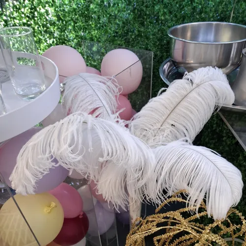 Ostrich Feathers -White (Large) (per feather)