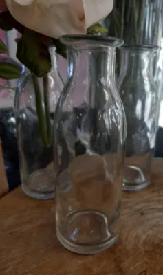 Bottle Glass Vase - 14cm H x 5cm W
