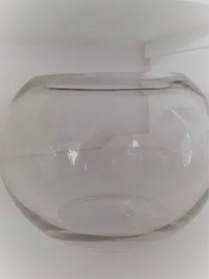 Vase Fish Bowl Medium 16cmH x 24cmW