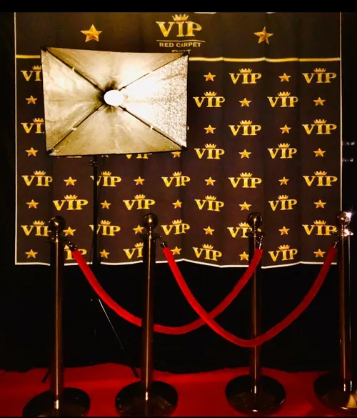 Photo Backdrop and Light 