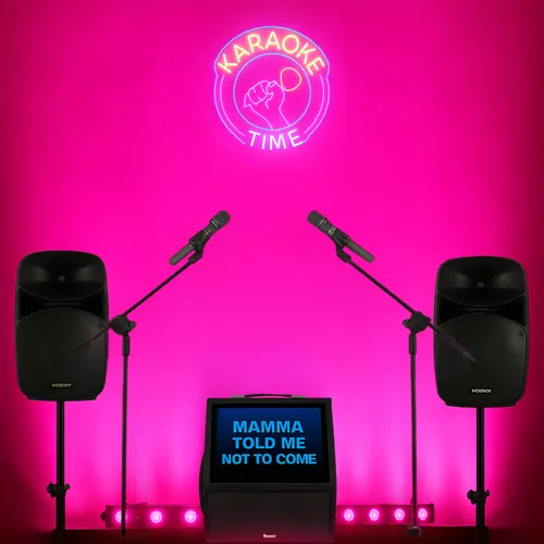 Mic & Mingle Karaoke Party