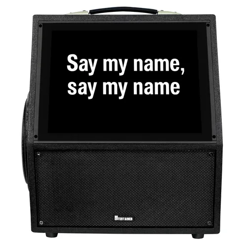Professional Karaoke Machine