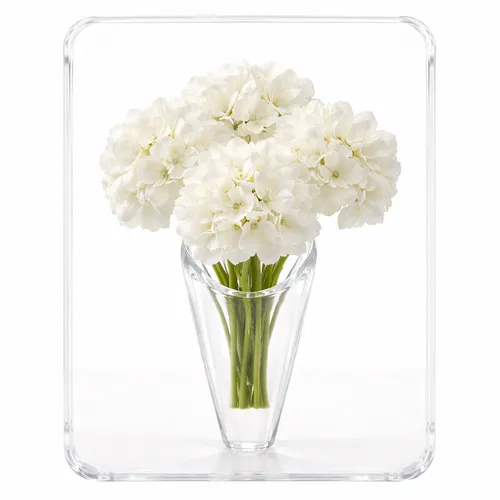 Bud Vase Frame with White Flowers 