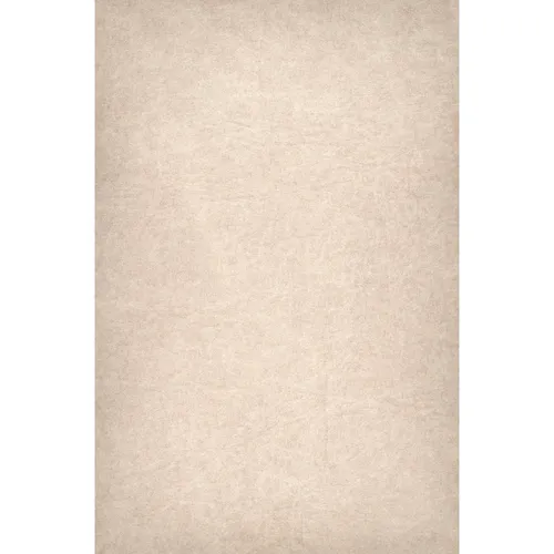 2500×3800mm C11 Oatmeal Fabric Skin for EasiFrame Curved Portable Cyclorama System