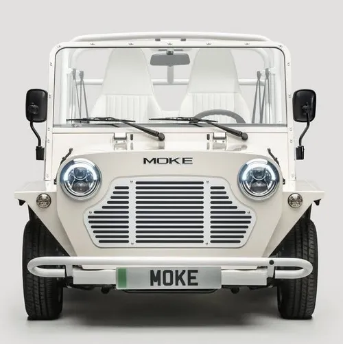 Moke