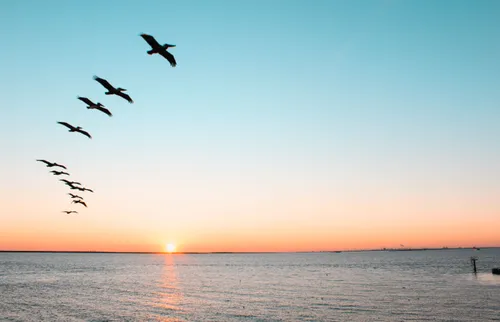 Insurance/Assurance Casse et vol Road & Gravel - Vadrouille