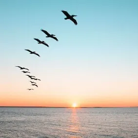 Assurance Casse et vol Voltaire 