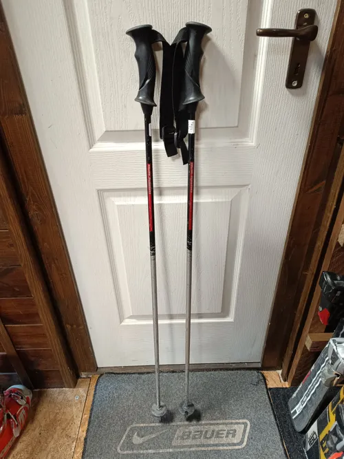 Síbot (2328) 110 Rossignol