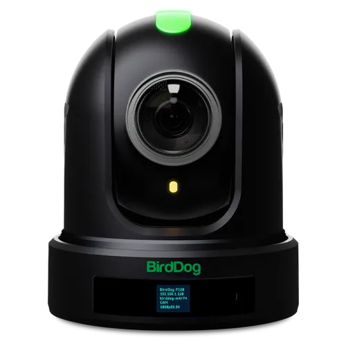 Cámara PTZ Birddog eyes p120 black