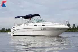 Sea Ray 255