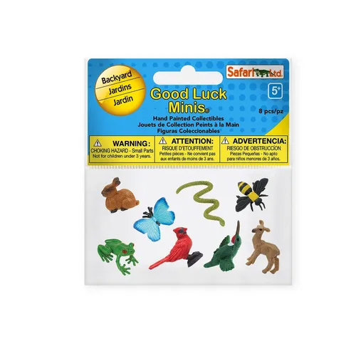 Backyard Fun Package