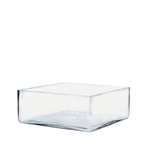  SQUARE VASE - CLEAR 10