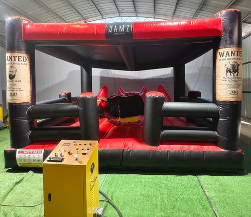 Mechanical Bull Roof Upgrade