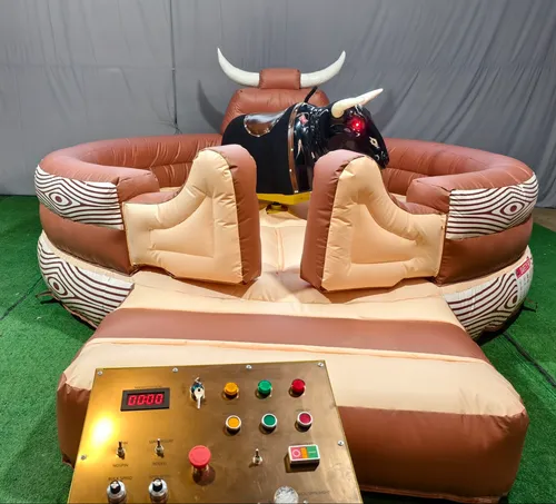 Mechanical Bull Ride