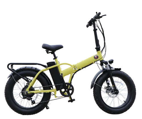 Electric Bike (all models)