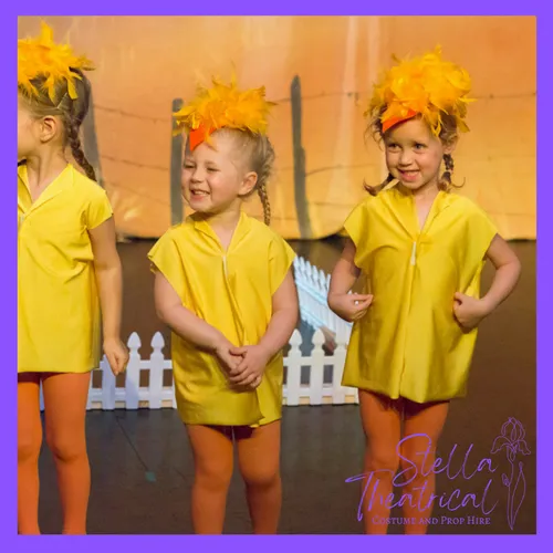 Yellow Chick Costume