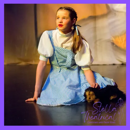 Dorothy Gingham Dress Costume