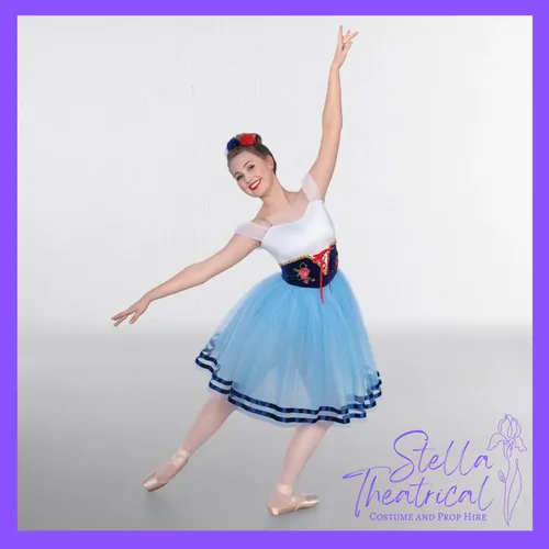 Corseted Romantic Tutu