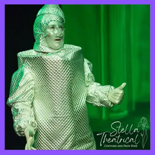 Tinman Costume