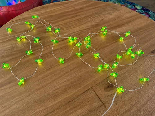 Cactus String Lights