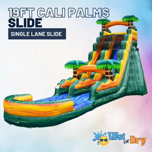 19 FT Cali Palms Slide