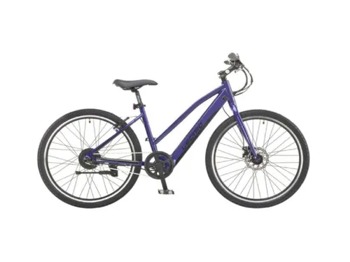Adult Electric Bike