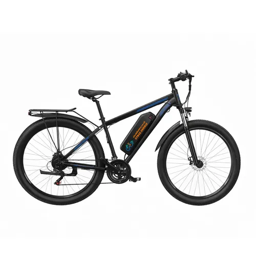 Adult Electric Bike