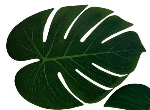 Tropical Leaf Placemat