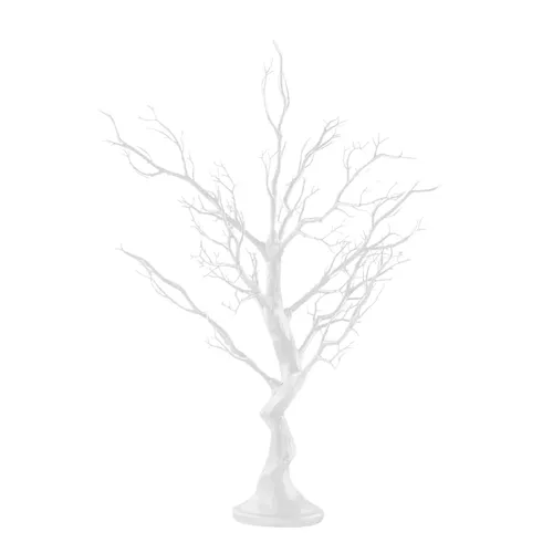 White Manzanita Tree