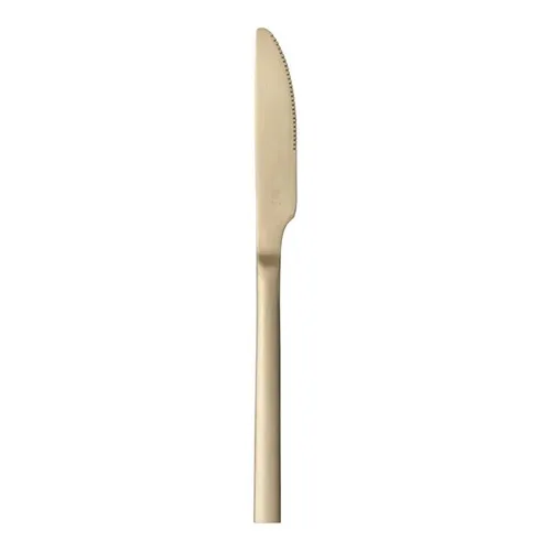 Matte Gold Knife