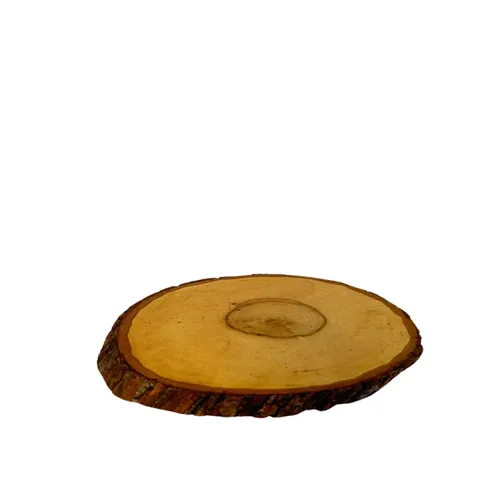 Wood Slice