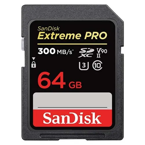 200. Sandisk 64GB SDXC UHS-II V90 300MB/s