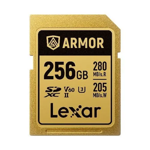 195. Lexar SDXC 256GB V60 Armor
