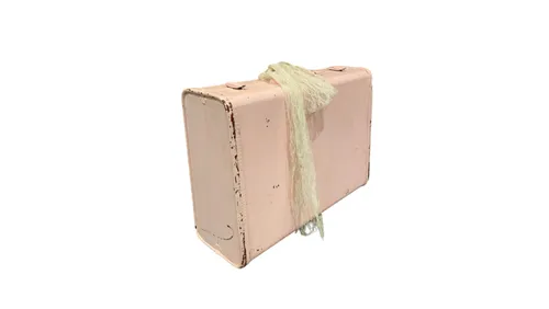 Pink Suitcase
