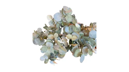 Silver Dollar Eucalyptus Stem - Light