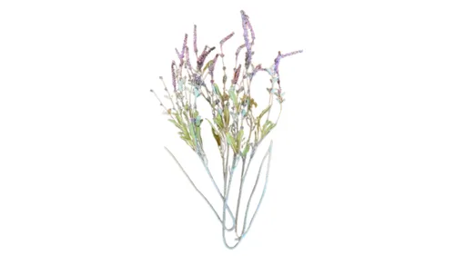 Lavender Stem