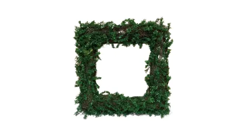 Greenery Frame