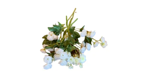 Small White Flower Stem