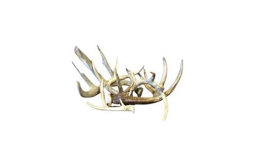Antlers