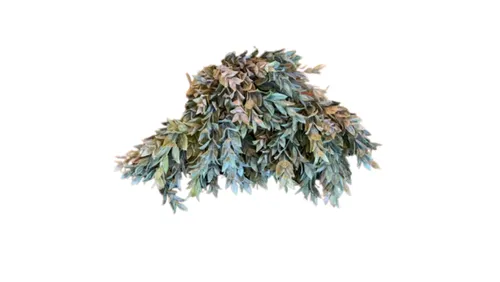 Dark Green Leafy Stem