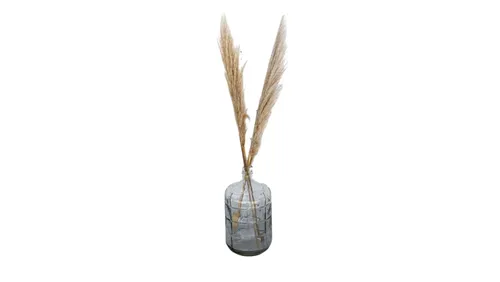Natural Pampas Grass Stem