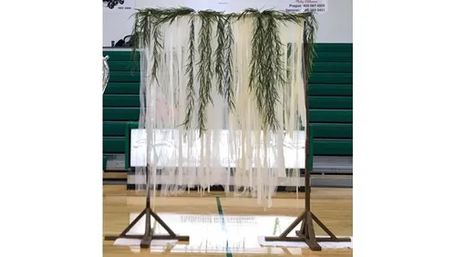 Gold & White Vintage Lace Backdrop