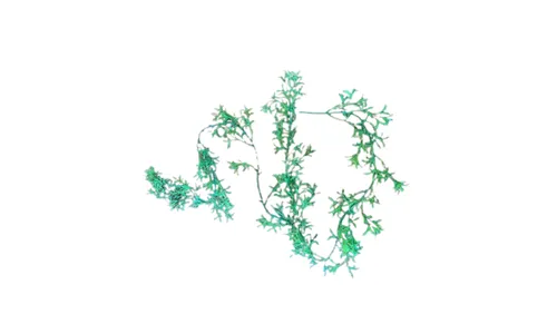 String of Dolphins Garland