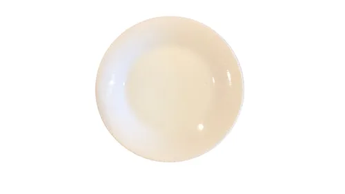 White Plate with Ribbed Edge - Dinner